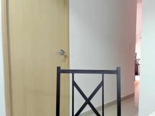 alexyferrer webcam