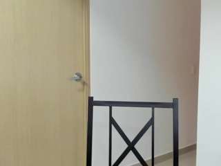 alexyferrer webcam