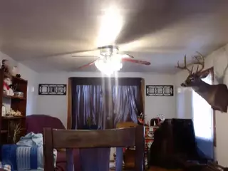JJD's Live Sex Cam Show