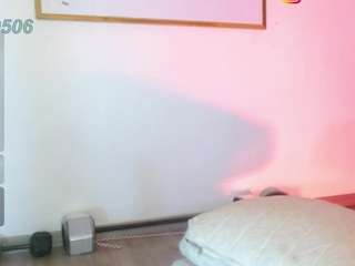karlavittar webcam