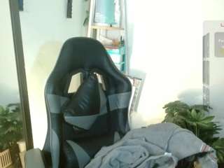 karlavittar webcam