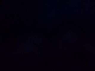 starlight1983