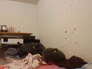 starlight1983 webcam