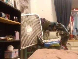 starlight1983's CamSoda show and profile