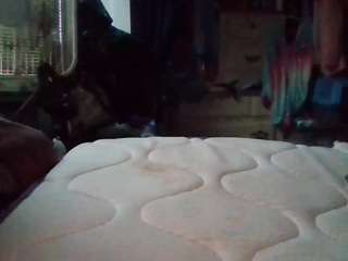 starlight1983 webcam