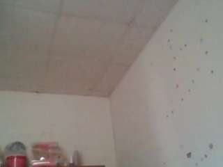 starlight1983 webcam