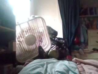 starlight1983 webcam