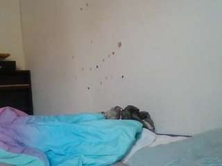 starlight1983 webcam