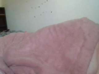 starlight1983 webcam