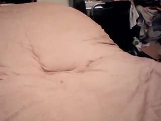 starlight1983 live cam preview