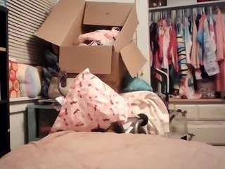 starlight1983 Live Webcam on CamSoda