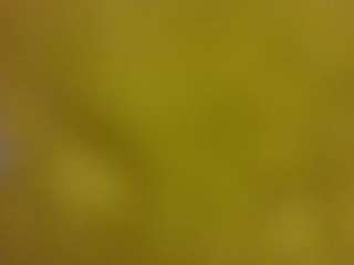  ashleyca25 chat room