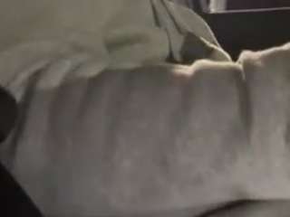 legion-mac Live Webcam on CamSoda