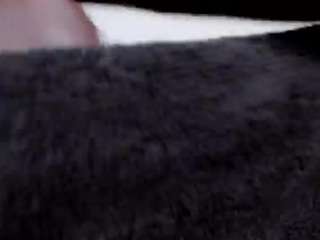 misszylahd Live Webcam on CamSoda