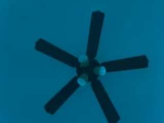 TasteThePeach