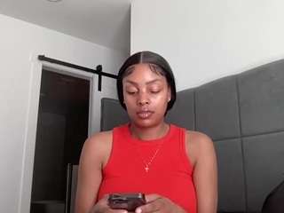 carmensindiego webcam