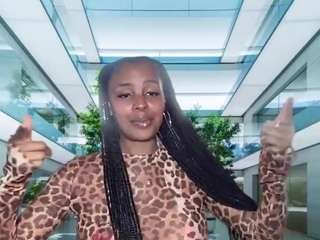 carmensindiego webcam