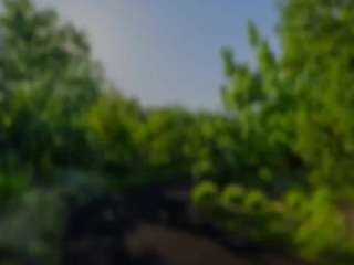 carmensindiego webcam