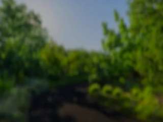 carmensindiego webcam