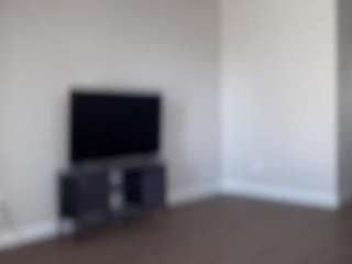 carmensindiego webcam