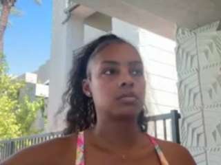 CSD live cam