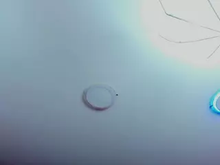 littledollyx's Live Sex Cam Show