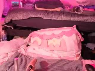 Vixen Capri live cam preview