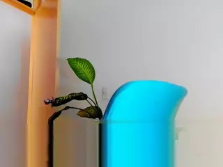 channel's Live Sex Cam Show