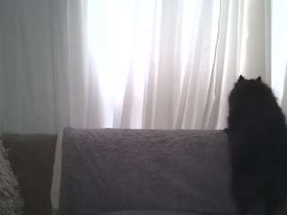 prettyjess live cam