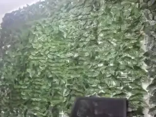 anastasia-basst's Live Sex Cam Show
