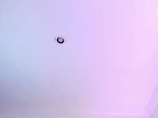 sweetcurvy
