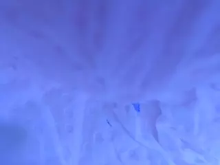 BIANCA BABY's Live Sex Cam Show