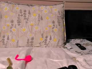 timilkasquirtx webcam