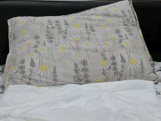 timilkasquirtx webcam