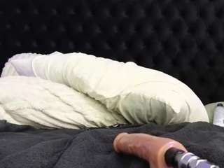 HornyLindzay