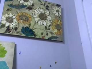 AmberAlena live webcam show