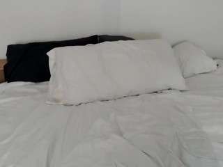 Hot Wife Mia