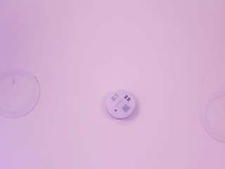 hailey-miller1 webcam