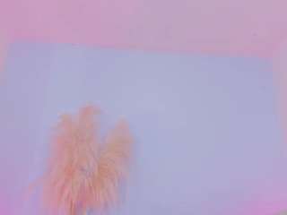 hailey-miller1