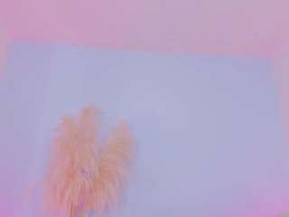 hailey-miller1