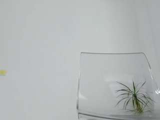 Live cam show with kairagold