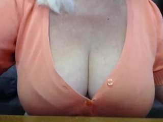 failofayear webcam