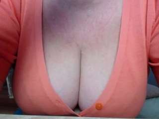 failofayear webcam