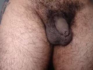 latin-gaska live cam preview