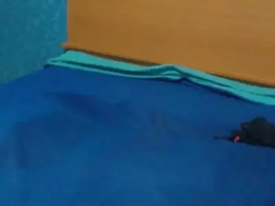 BrookeHogan's Live Sex Cam Show