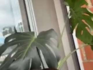haley-drip Sex Cam Show