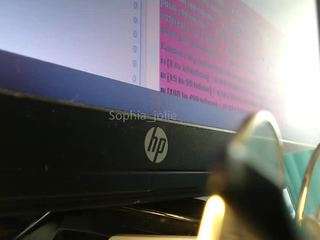 sophia-jolie