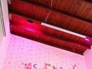 mssburbuja webcam