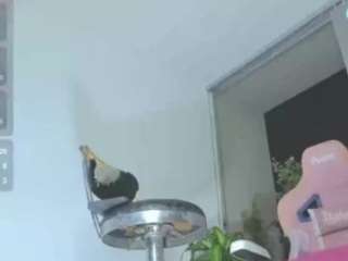 princess-alis91 live cam preview