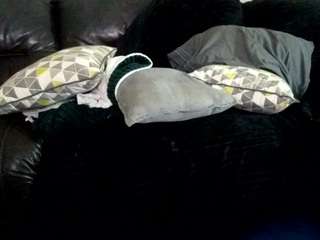 1800fu webcam